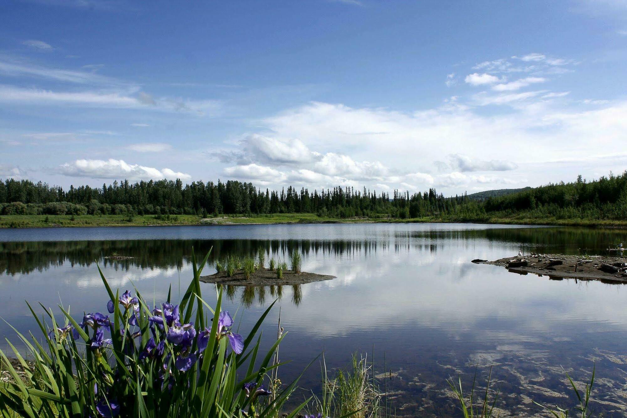 Wedgewood Resort Fairbanks Exterior foto
